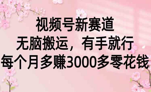 《视频号无脑搬运项目》_wwz