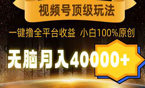 《视频号顶级玩法》_wwz