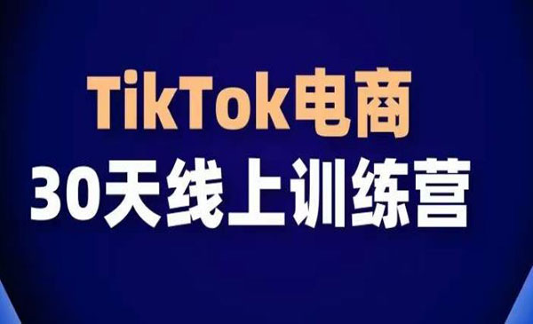 《TikTok电商带货30天线上课》_wwz