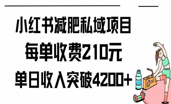 《小红书减肥私域项目》_wwz