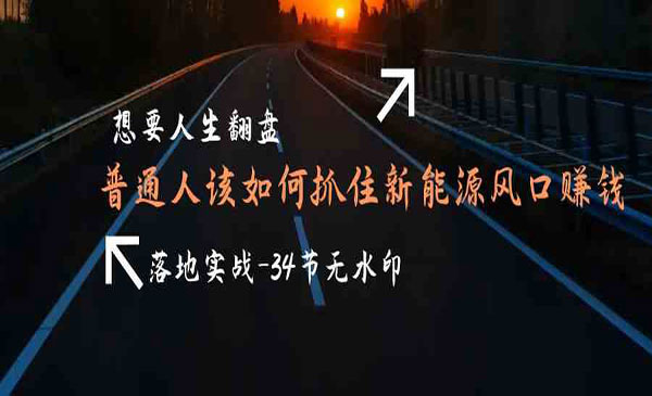 《新能源风口赚钱案例课》_wwz