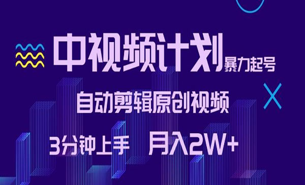 《中视频自动剪辑原创视频》_wwz