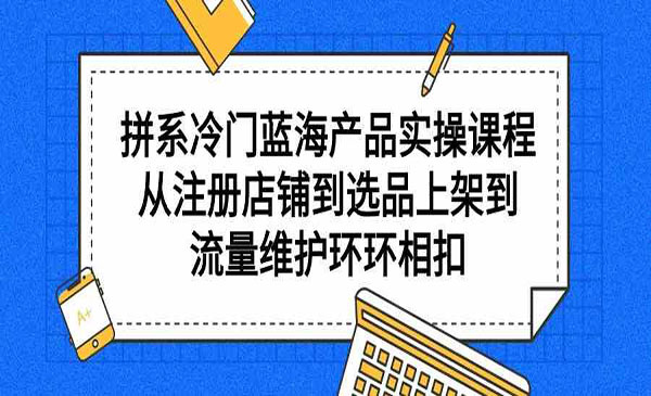 《多多冷门蓝海产品实战》_wwz