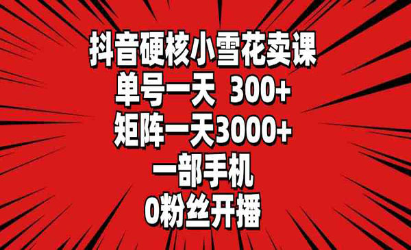 《抖音硬核小雪花卖课》_wwz
