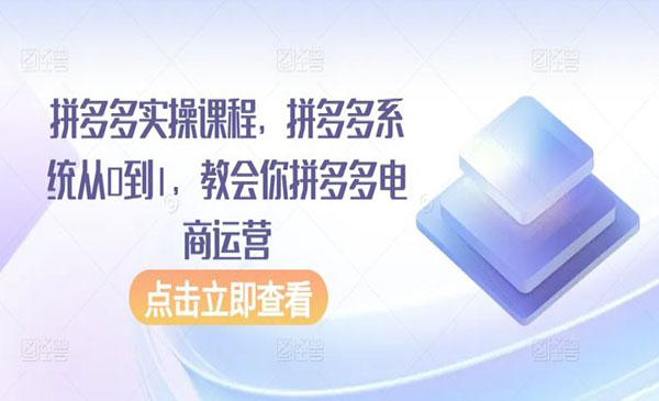 《拼多多电商运营实战》_wwz
