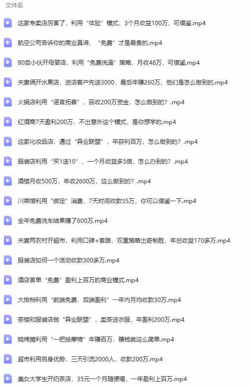 《391套商业模式》年入几十到几百万案例解析（电子书+视频+图文）