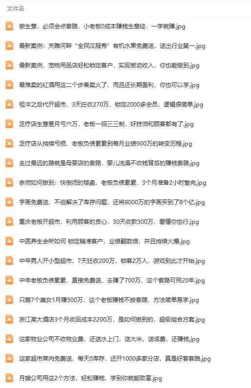 《391套商业模式》年入几十到几百万案例解析（电子书+视频+图文）