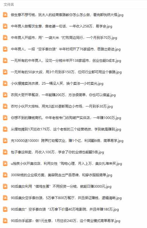 《391套商业模式》年入几十到几百万案例解析（电子书+视频+图文）