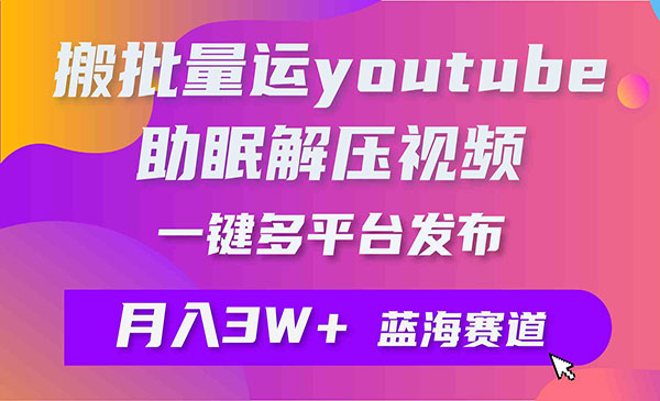 《YouTube搬运助眠视频》_wwz