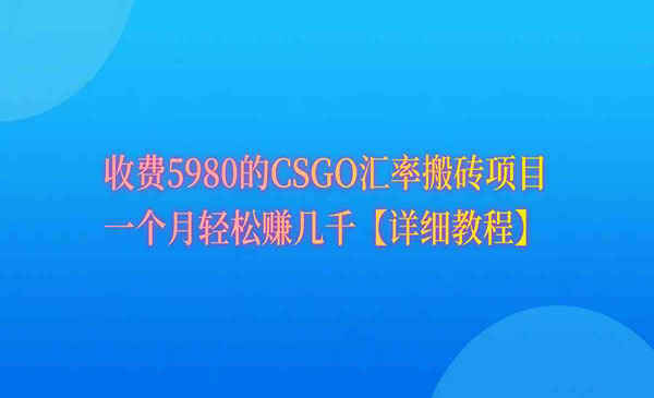 《CSGO装备搬砖项目》_wwz