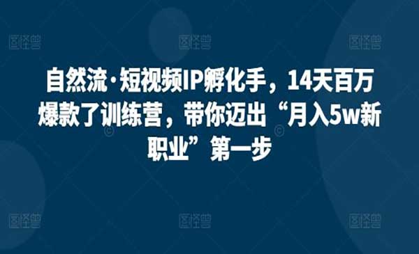 短视频IP孵化手_wwz