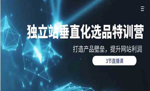 独立站垂直化选品技巧_wwz