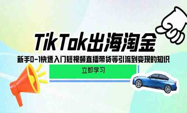 TikTok出海淘金_wwz