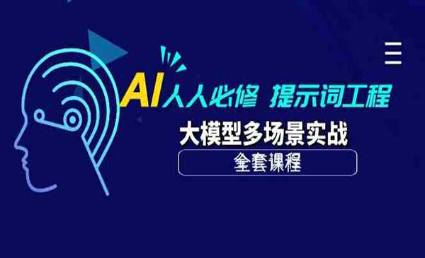 AI提示词工程实战_wwz