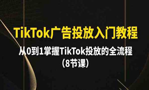 TikTok广告投放入门教程_wwz