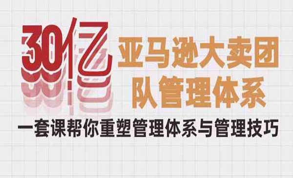 亚马逊大卖团队管理体系_wwz