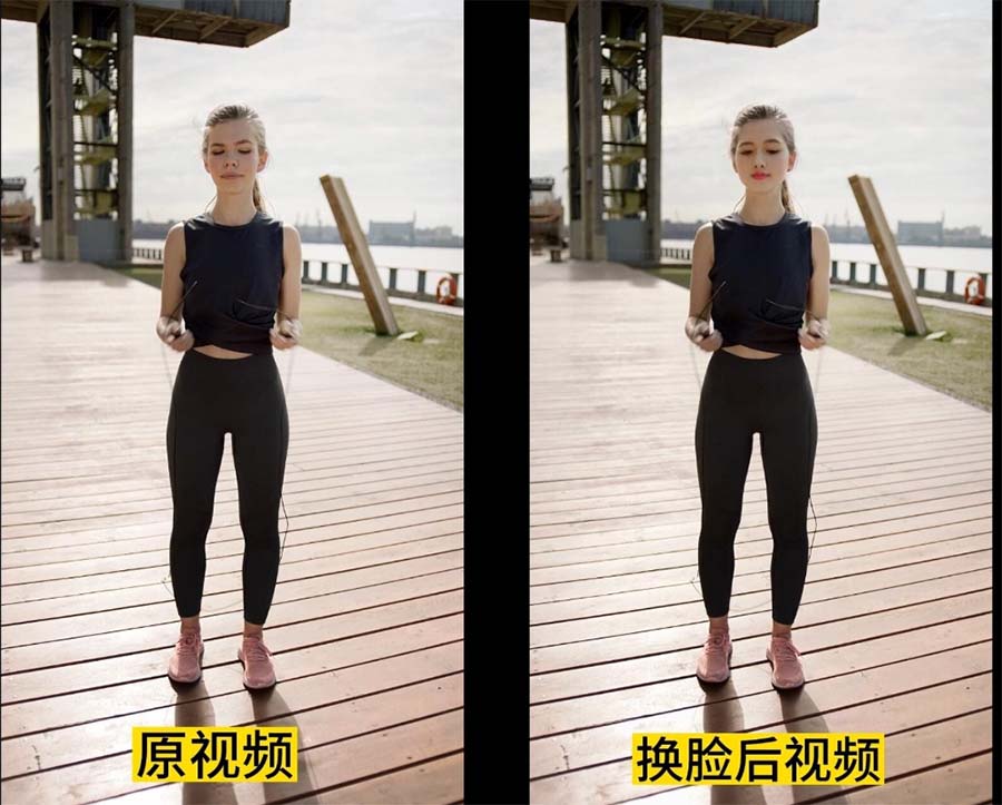《AI换脸替换工具离线版V1.2+保姆级视频教程》一键操作,小白一看就会