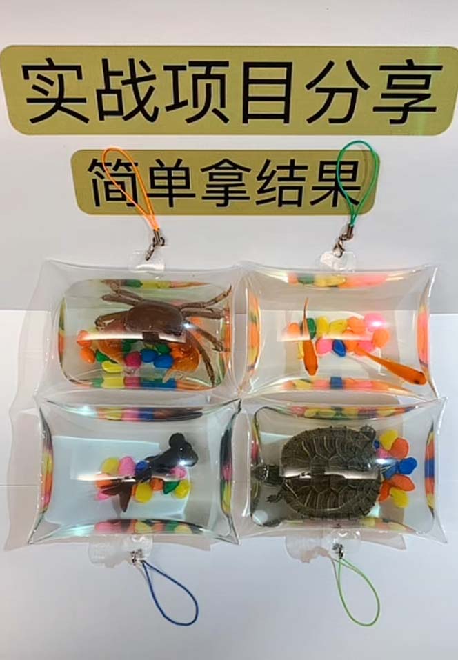 《抖音泡泡鱼手工小成本地摊创业项目》日賺500+项目课程解析
