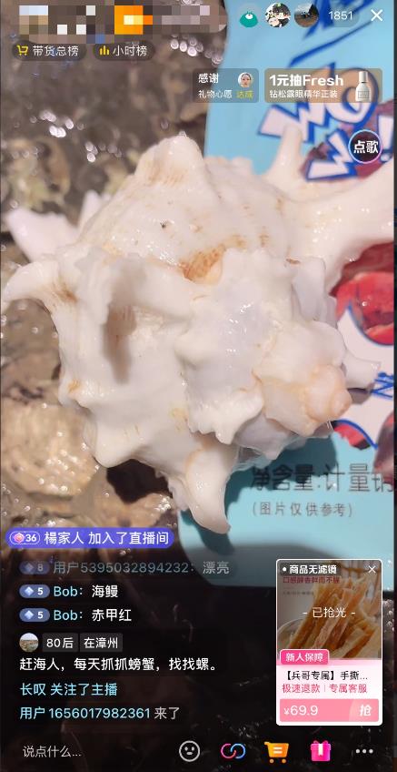 《抖音+快手赶海无人直播》流量庞大,效果出奇的好