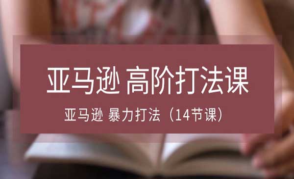 亚马逊高阶打法课_wwz