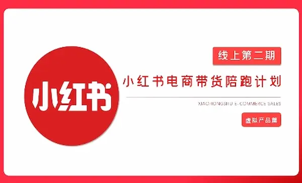 价值2980《小红书电商带货陪跑计划》8人团队月利润20W!有货源，无货源，虚拟产品，付费投流等整套玩法