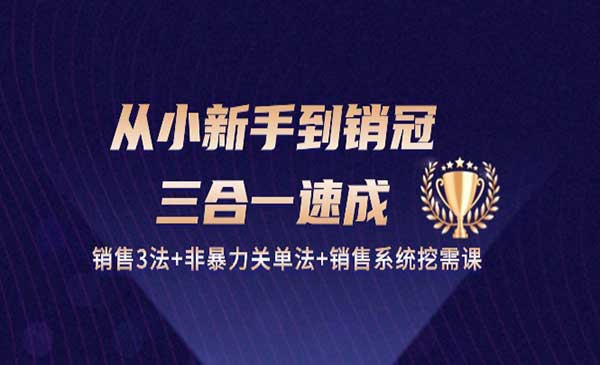 新手到销冠速成_wwz