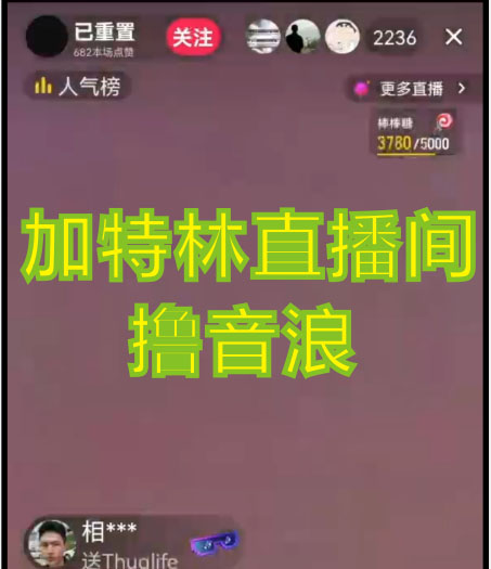 《加特林直播间搭建技术》0粉开播-暴力撸音浪-日入800+