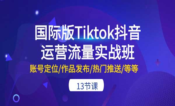 Tiktok运营流量实战班_wwz